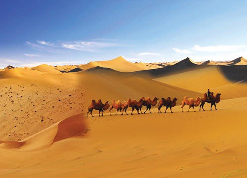 达瓦昆沙漠一日游